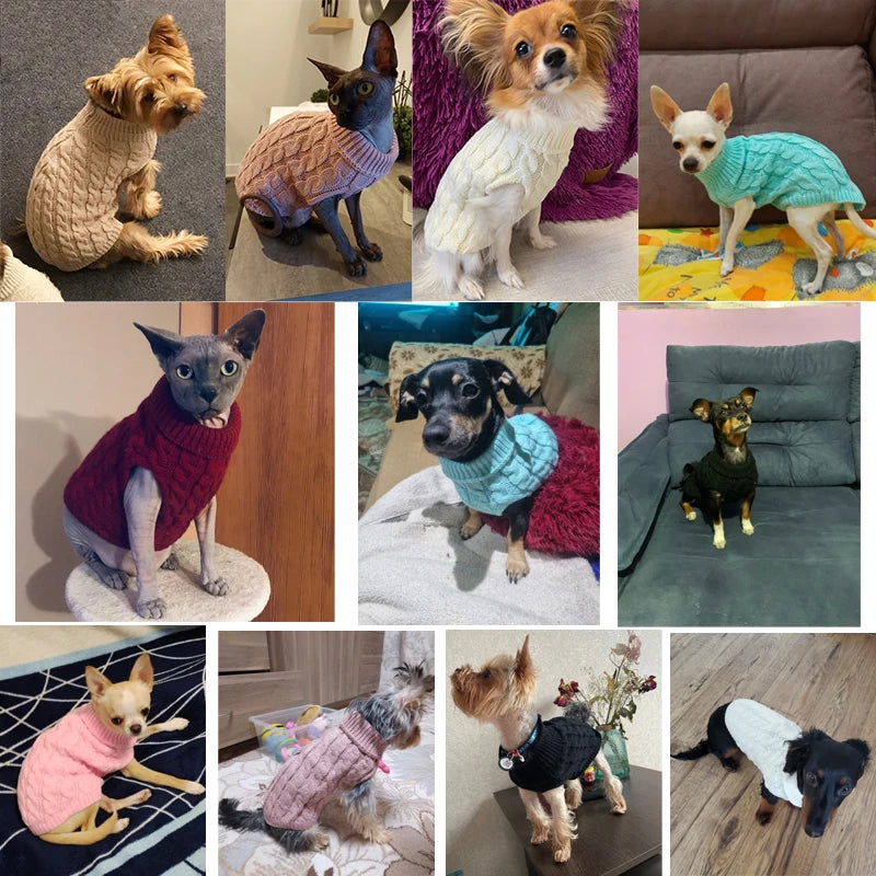Warm Dog Sweaters for Small Dogs