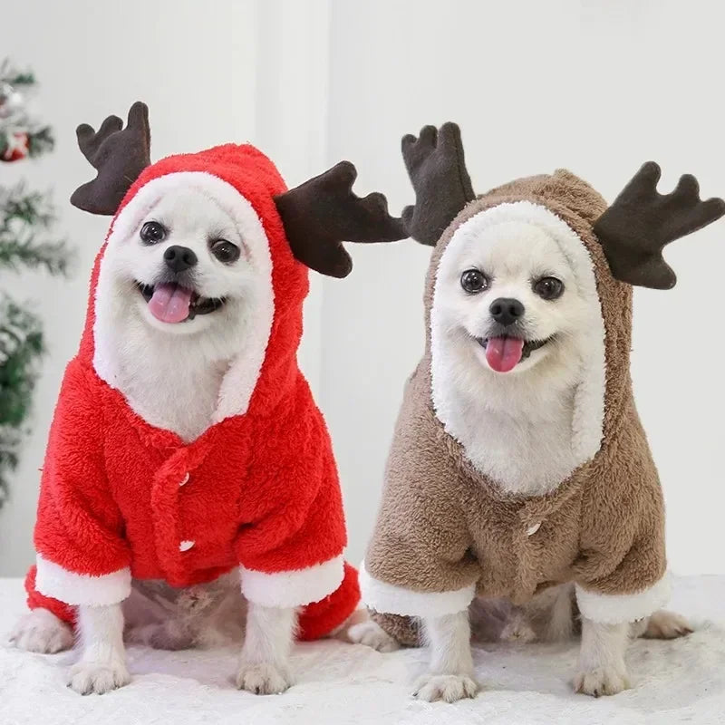 Christmas Dogs Costume