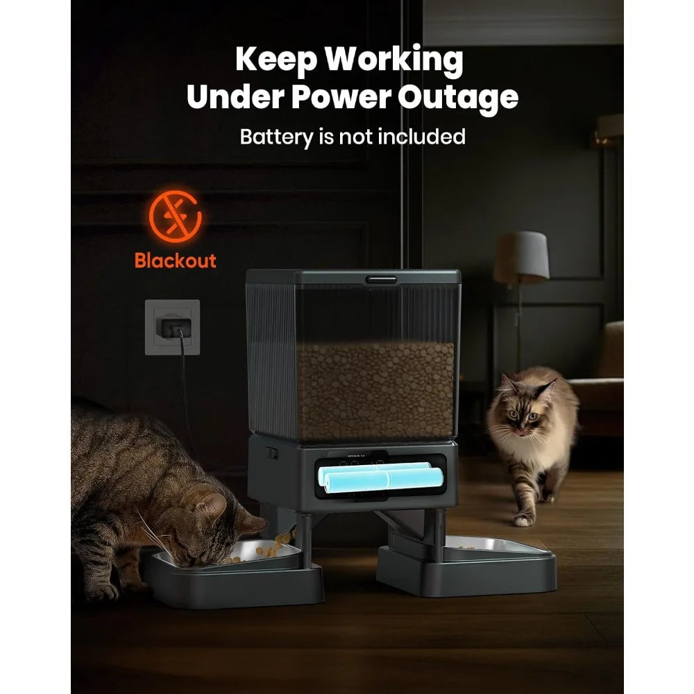 Automatic Cat Feeder for 2 Cats,