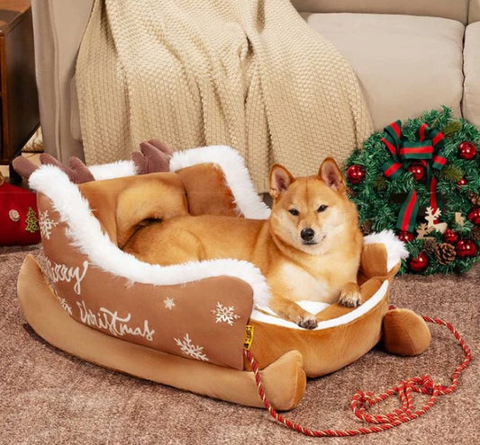 dog bed