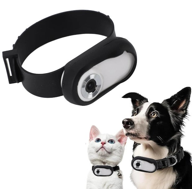 pet cam/collar