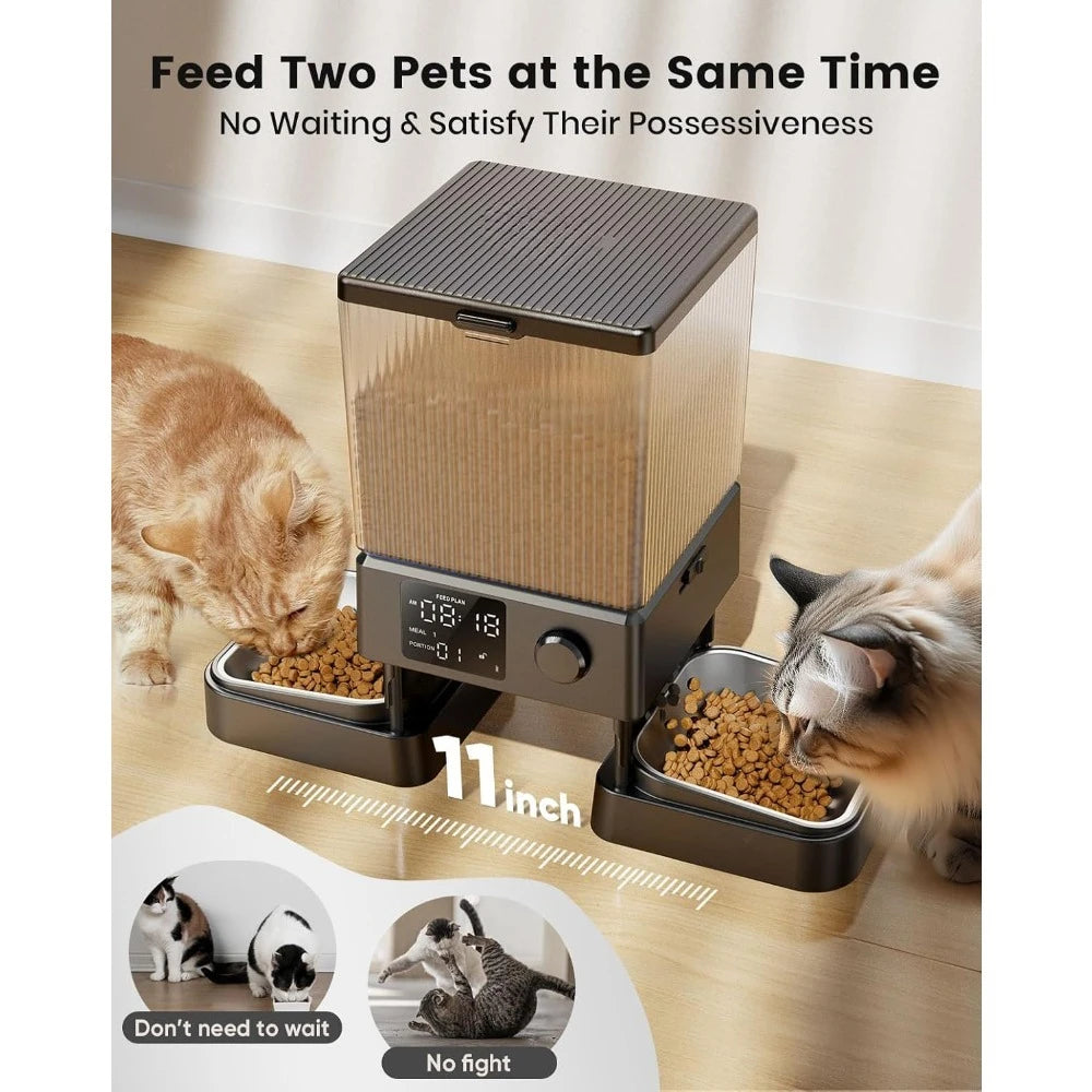 Automatic Cat Feeder for 2 Cats,