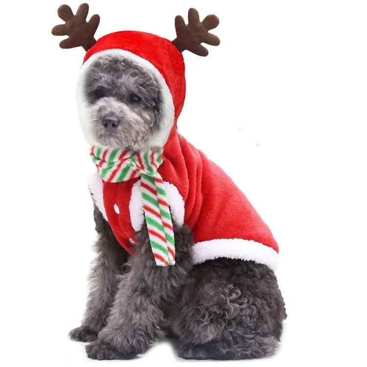 Christmas Dogs Costume