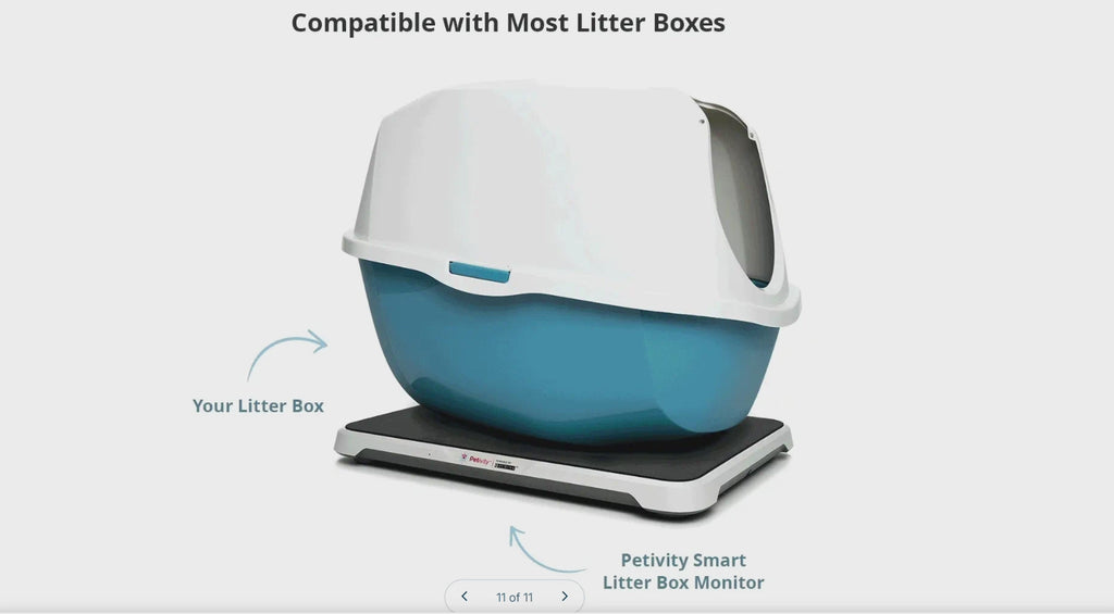 LItter Box